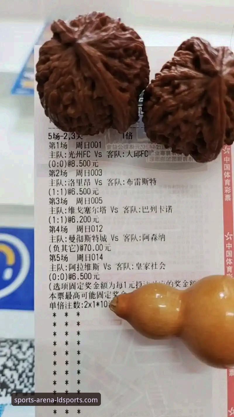 理性投注 vs 盲目跟风：一份基于ldsports体育平台的赛事投注攻略深度解析